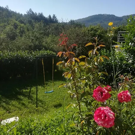 Mit Terrasse Und Pool Sowie Herrlicher Aussicht Im Waldgebiet